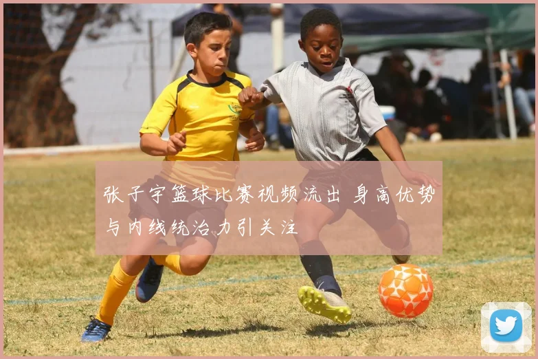 张子宇篮球比赛视频流出 身高优势与内线统治力引关注