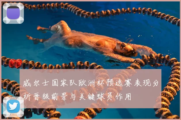 威尔士国家队欧洲杯预选赛表现分析晋级前景与关键球员作用